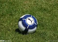 辽宁媒体曝,连续两次争,议判罚,LEJIN,Sports,乐竞体育,体育直播,体育赛事,APP下载,官方网地址