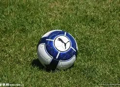 香港链游钱,数字藏品专,属的钱包,LEJIN,Sports,乐竞体育,体育直播,体育赛事,APP下载,官方网地址