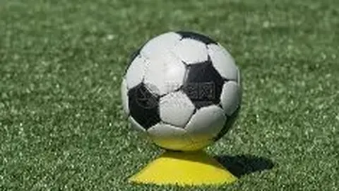 2025福布斯中国名人榜揭秘：20位女星娱乐圈地位风云榜