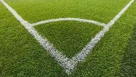 乐竞体育 资讯 111217 bqa