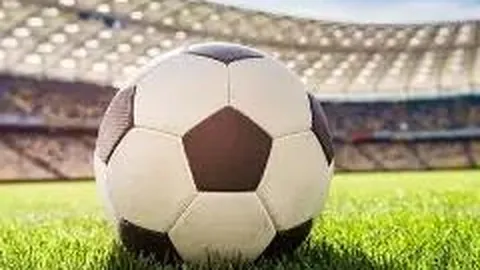 陈皮或涉“工艺皮”，最新信息发布