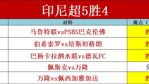 “进球后意外离场 媒体记者确认：奥尔莫伤势稳定无大碍”